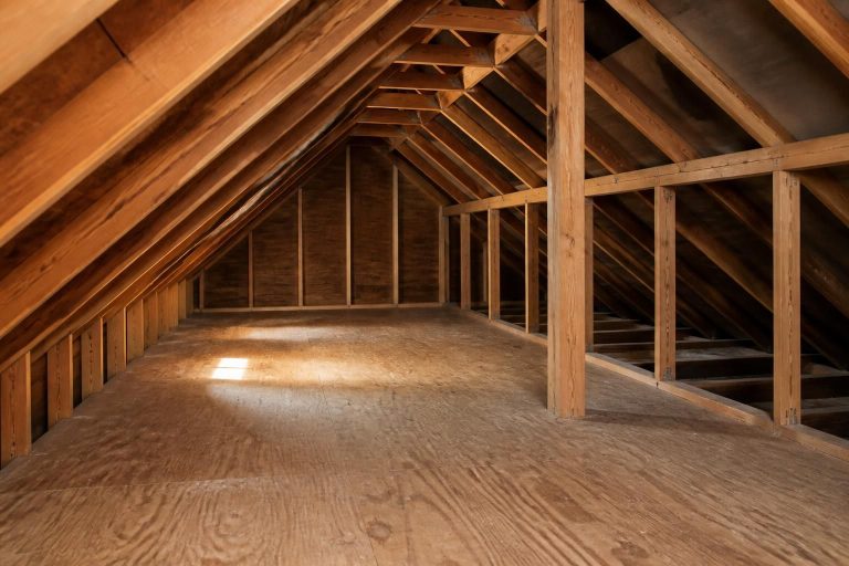 Insulation Removal